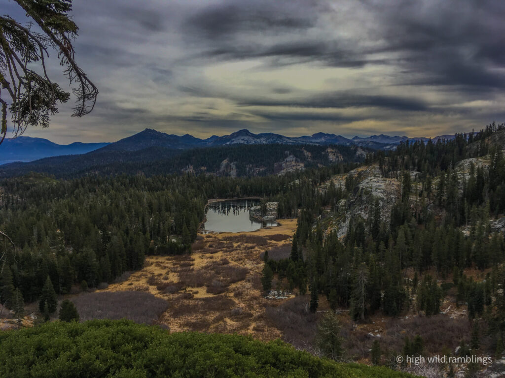 High Wild Ramblings