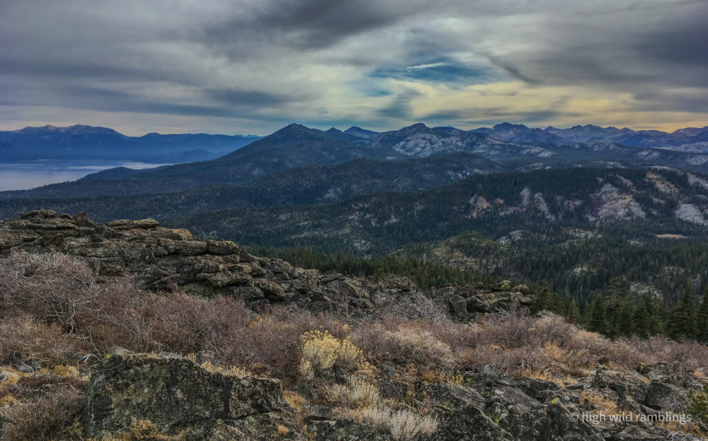 High Wild Ramblings