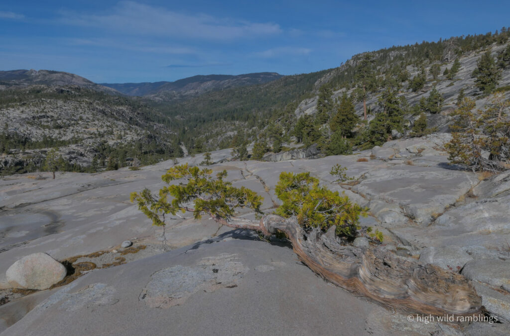 High Wild Ramblings