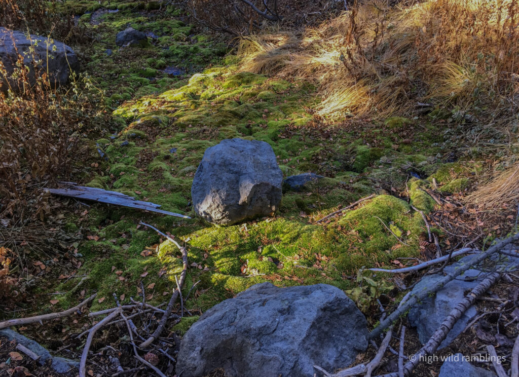 High Wild Ramblings