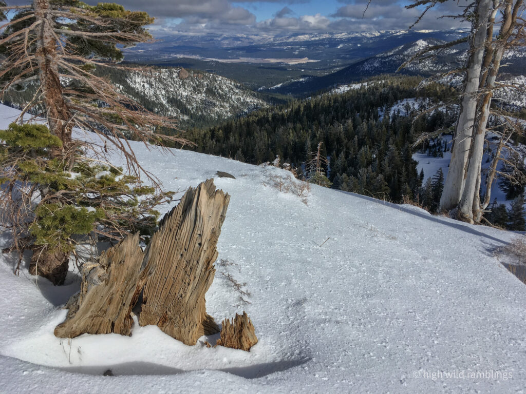 High Wild Ramblings