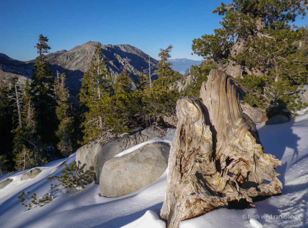 High Wild Ramblings