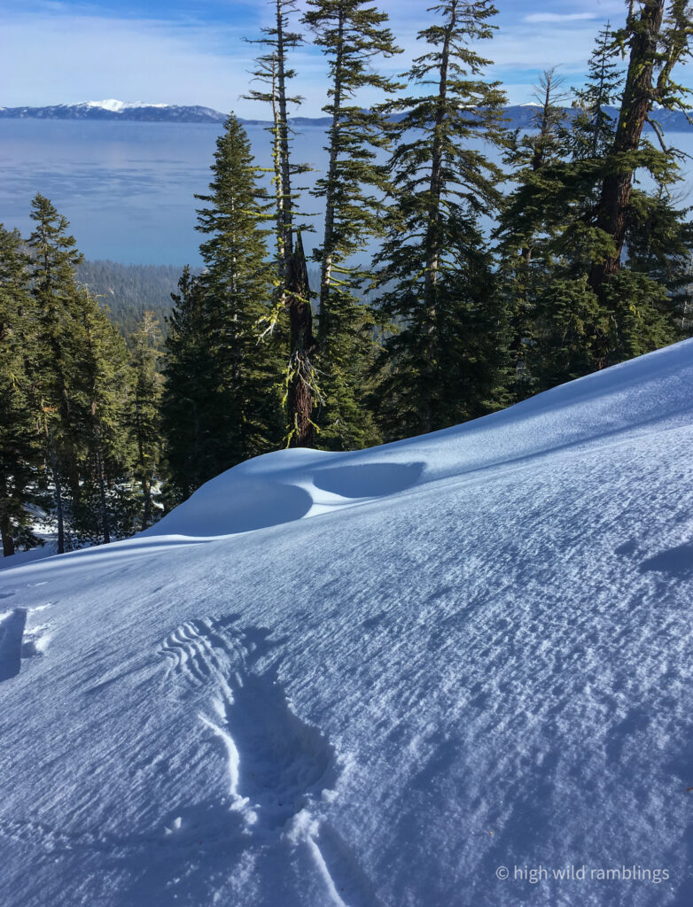 High Wild Ramblings