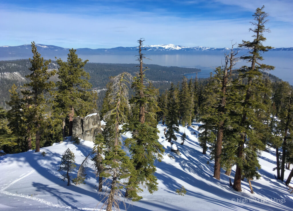 High Wild Ramblings