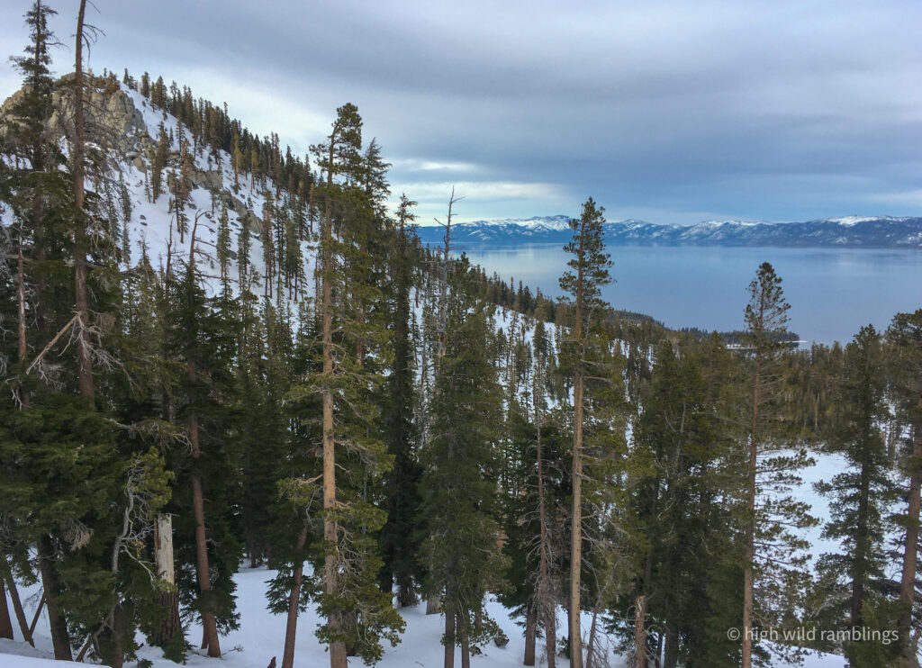 High Wild Ramblings