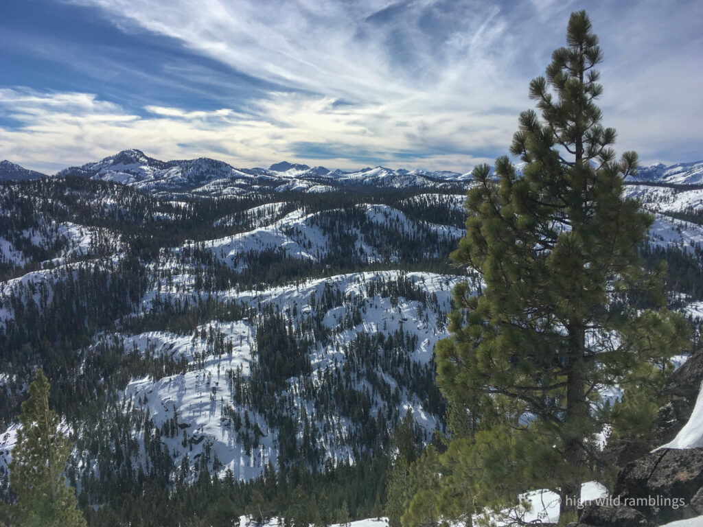 High Wild Ramblings