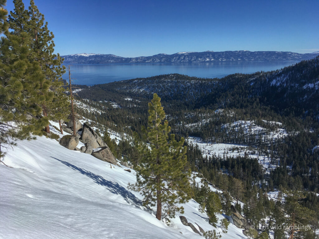 High Wild Ramblings