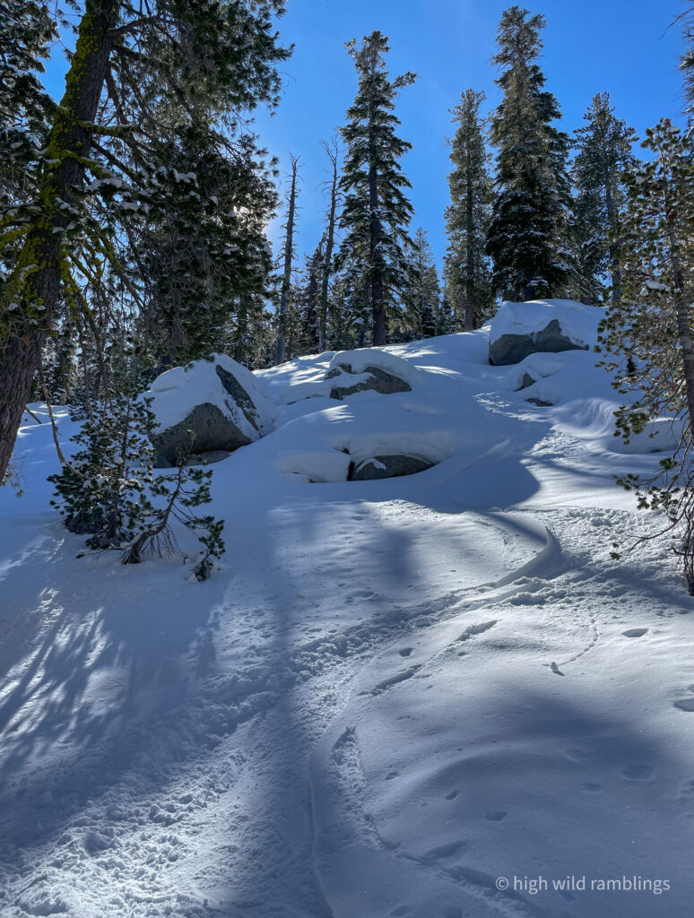 High Wild Ramblings