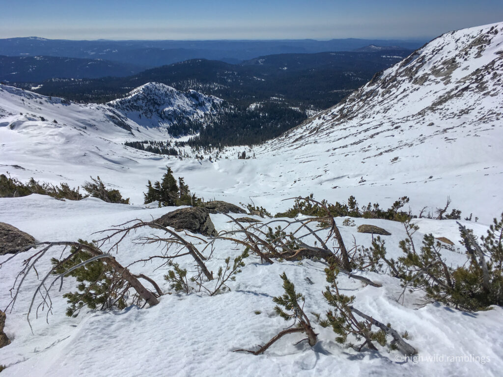 High Wild Ramblings
