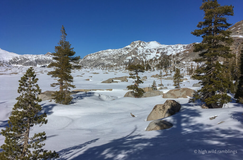 High Wild Ramblings