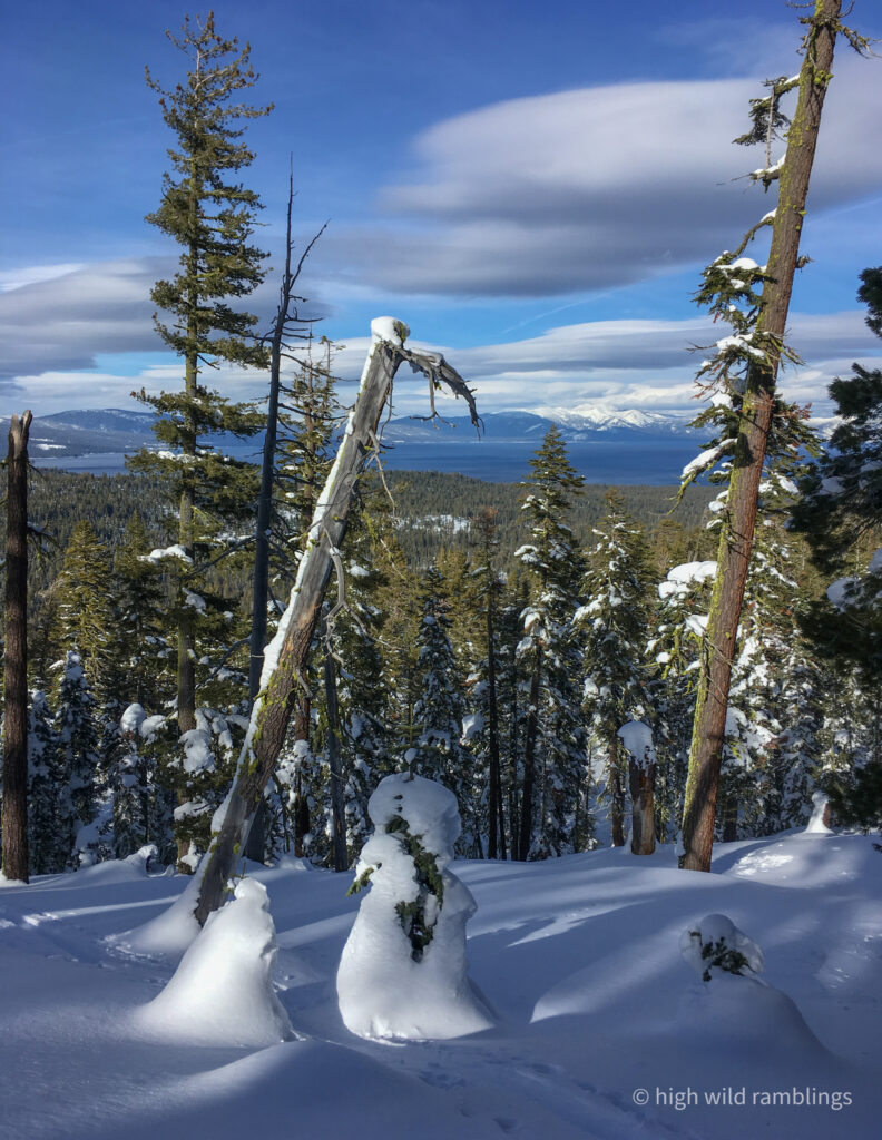 High Wild Ramblings