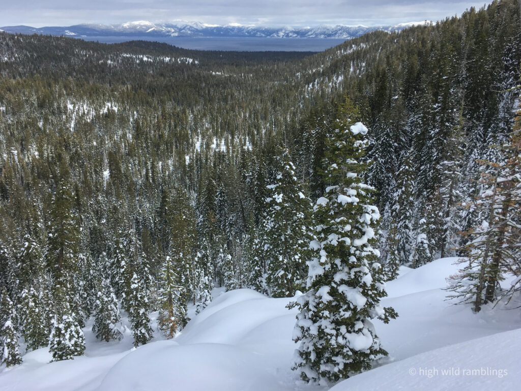 High Wild Ramblings