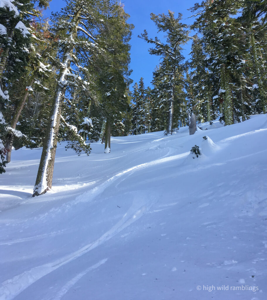 High Wild Ramblings