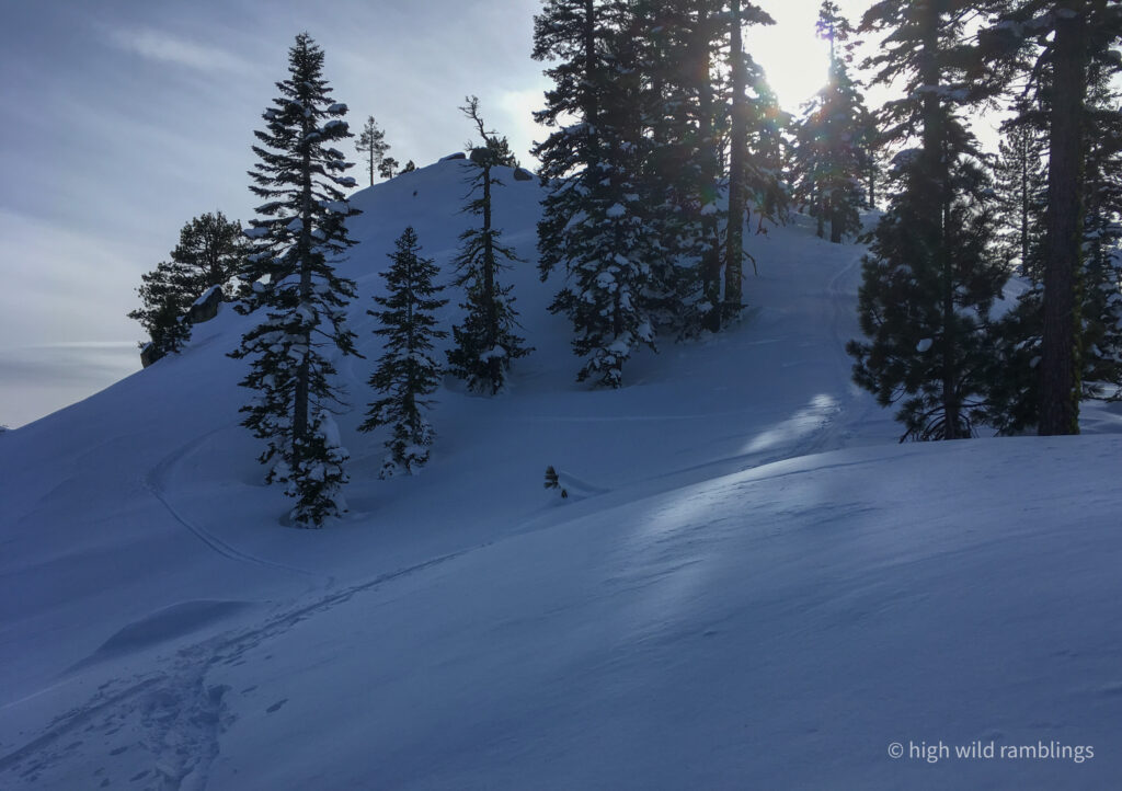 High Wild Ramblings