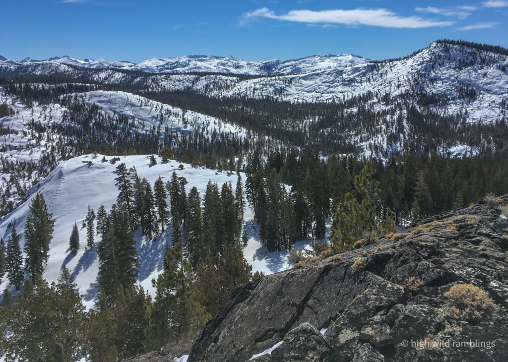 High Wild Ramblings
