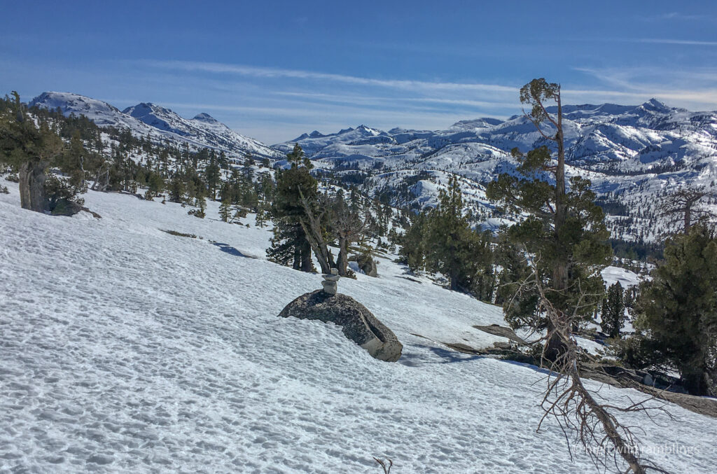 High Wild Ramblings