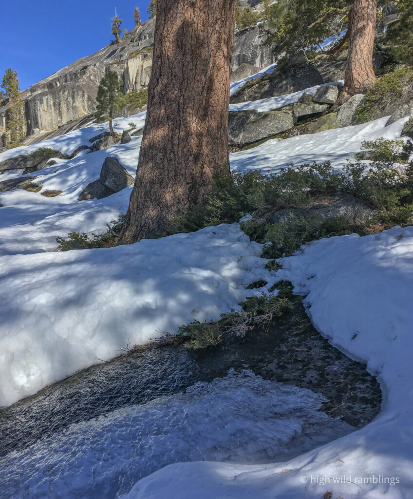 High Wild Ramblings