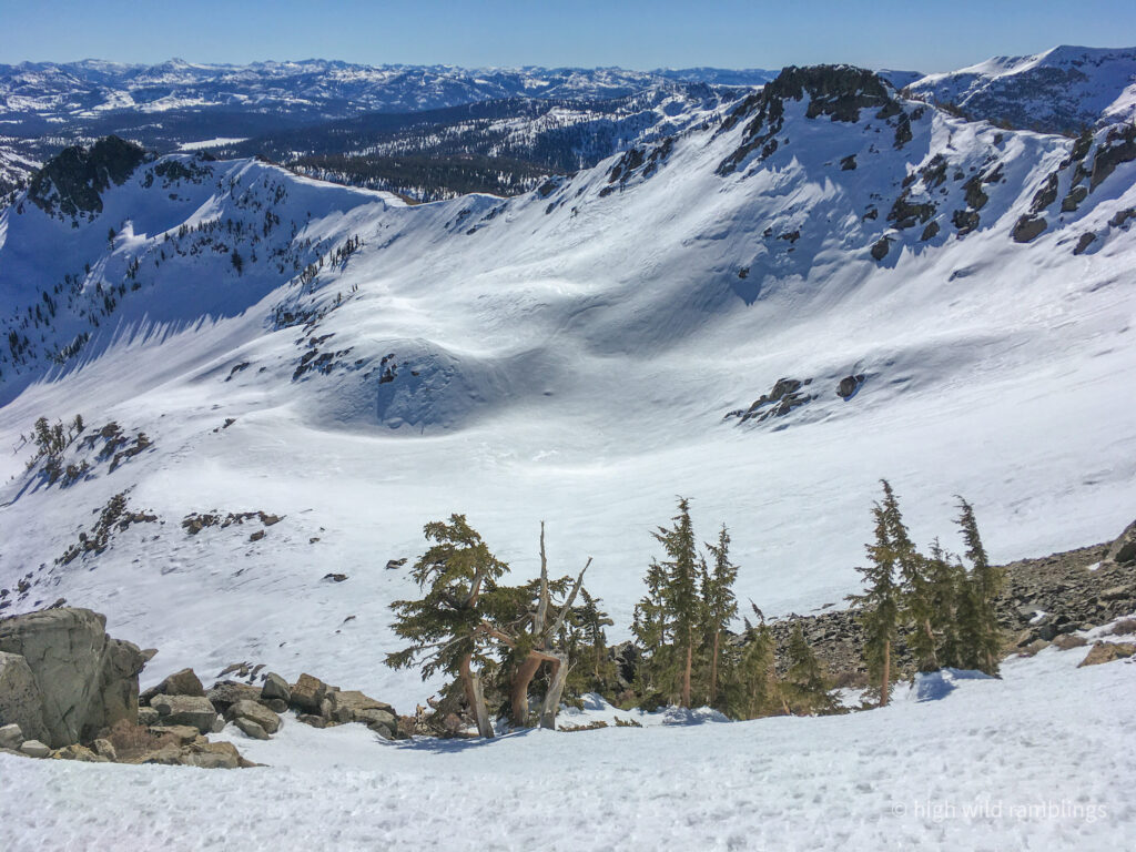 High Wild Ramblings