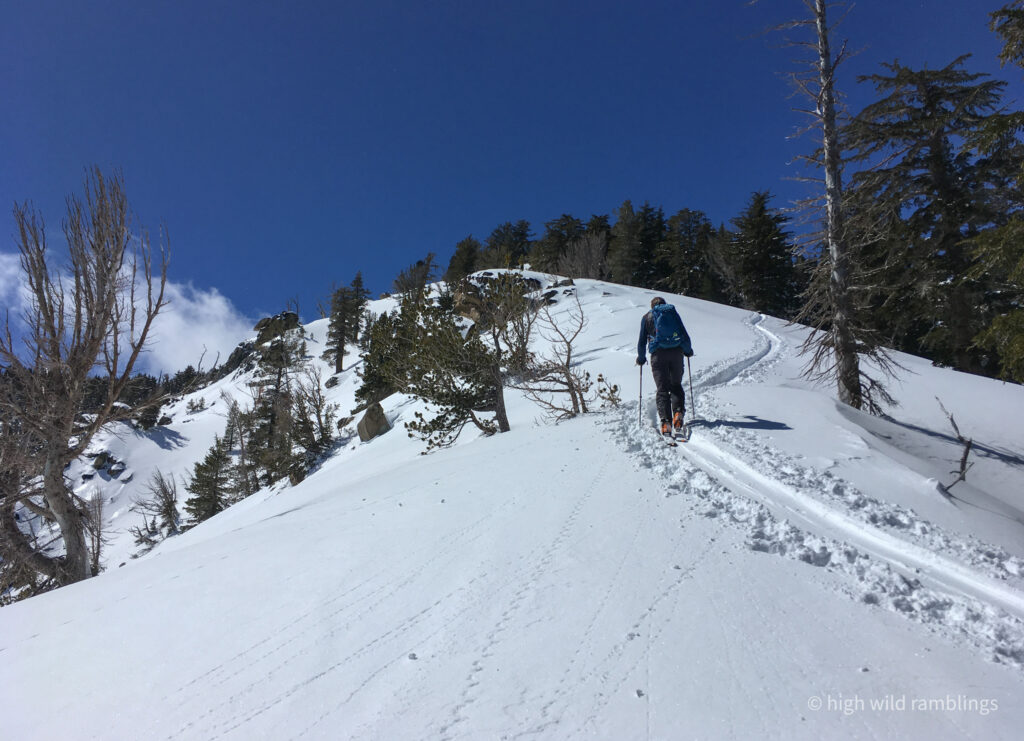 High Wild Ramblings