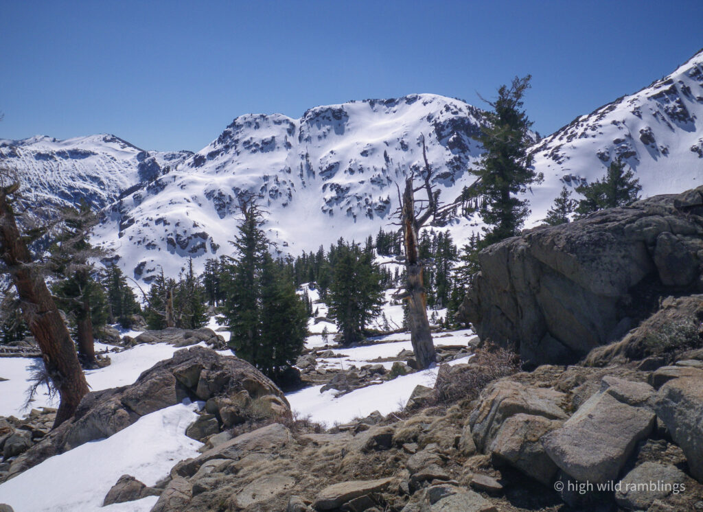 High Wild Ramblings