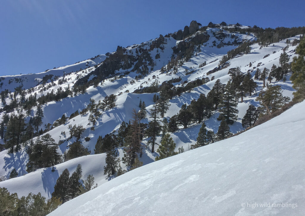 High Wild Ramblings