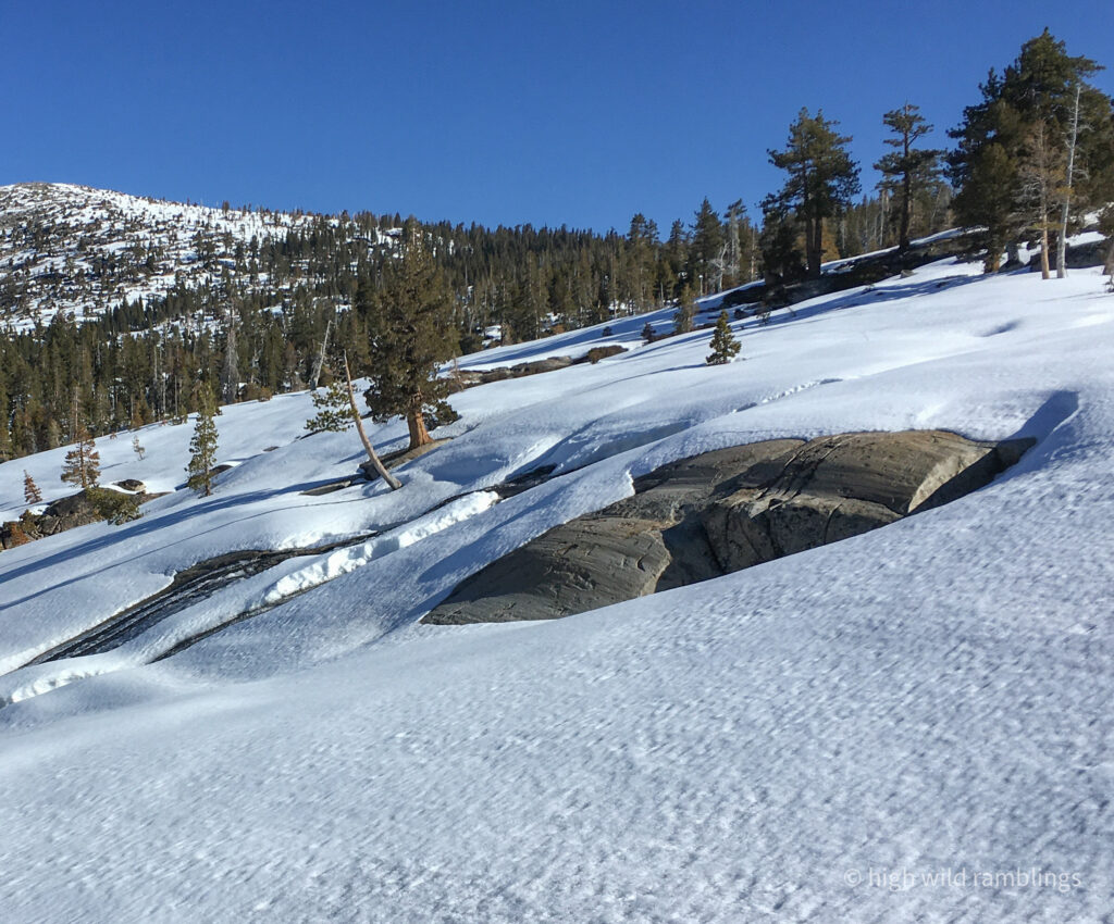 High Wild Ramblings