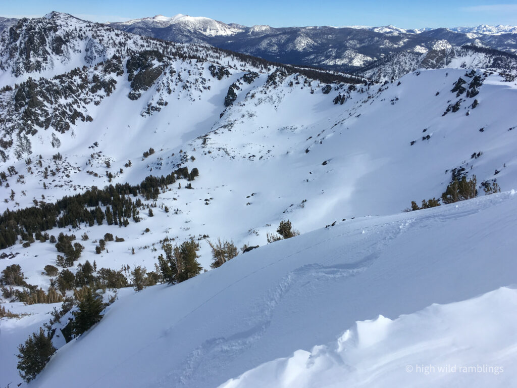 High Wild Ramblings