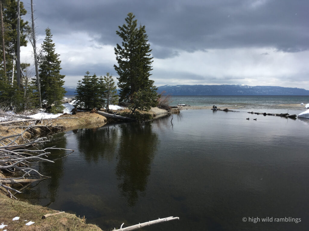 High Wild Ramblings