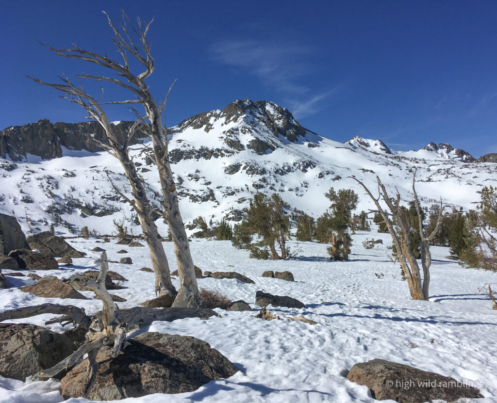 High Wild Ramblings