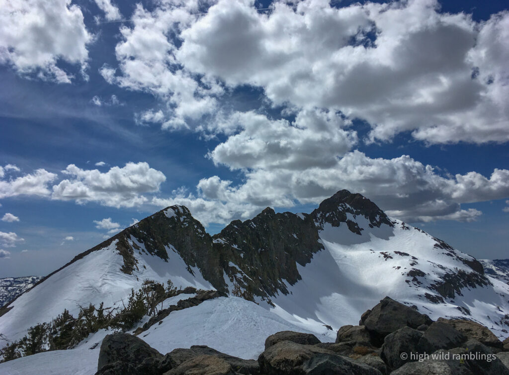 High Wild Ramblings