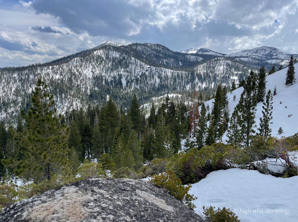High Wild Ramblings