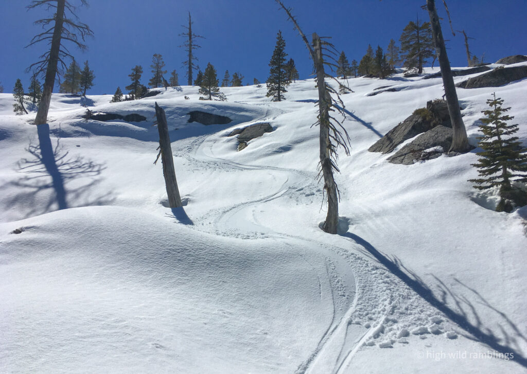High Wild Ramblings
