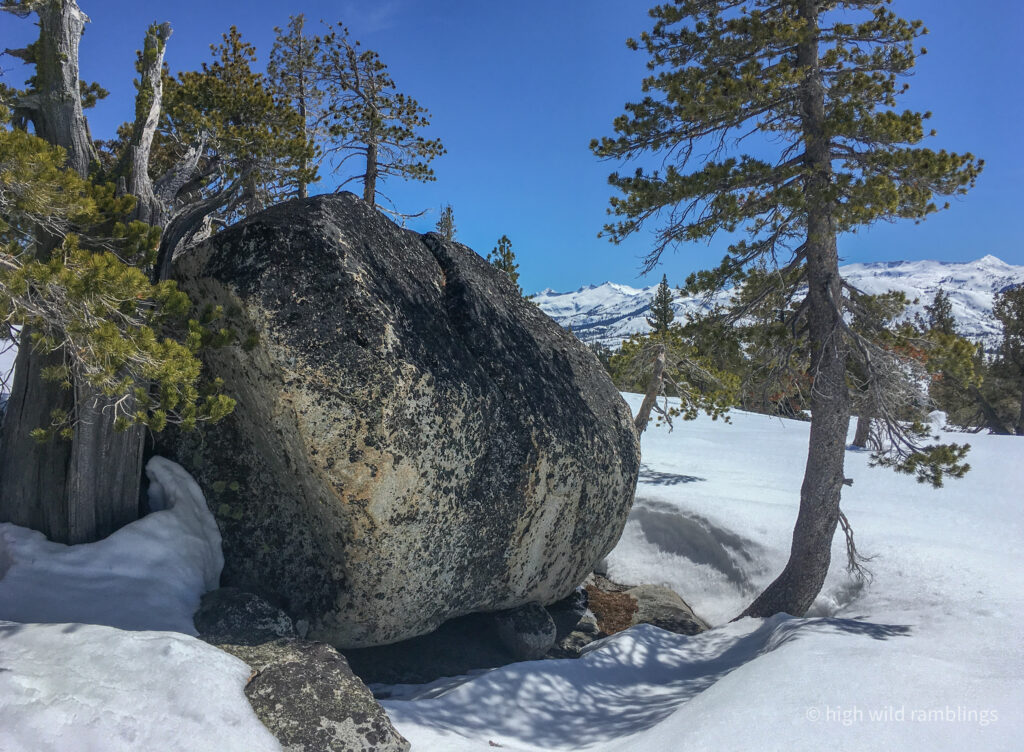 High Wild Ramblings