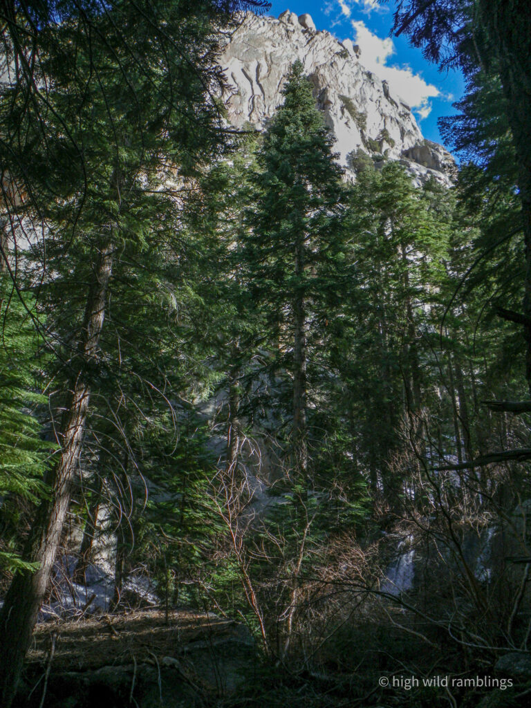 High Wild Ramblings