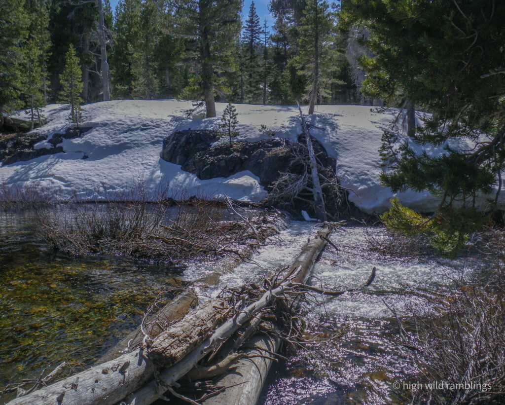High Wild Ramblings
