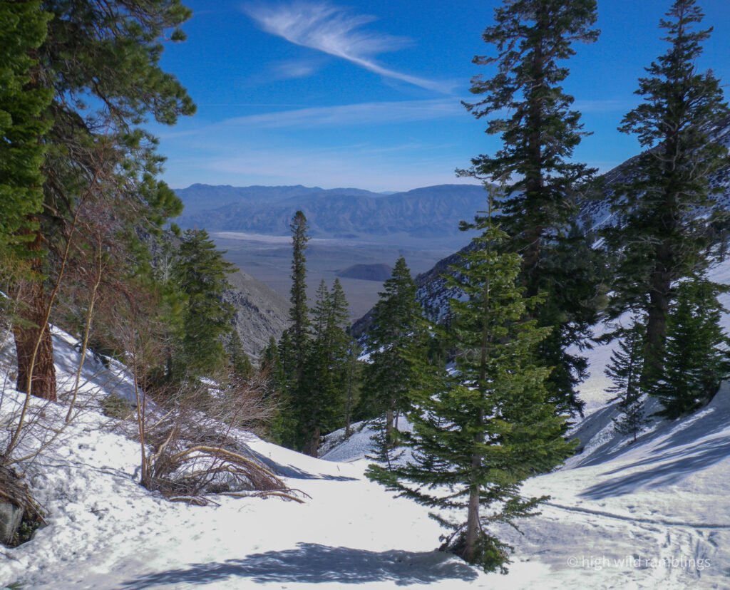 High Wild Ramblings