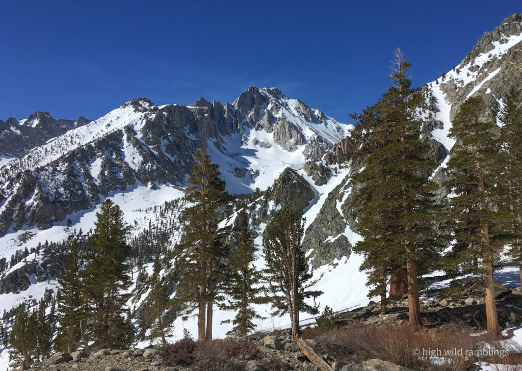 High Wild Ramblings