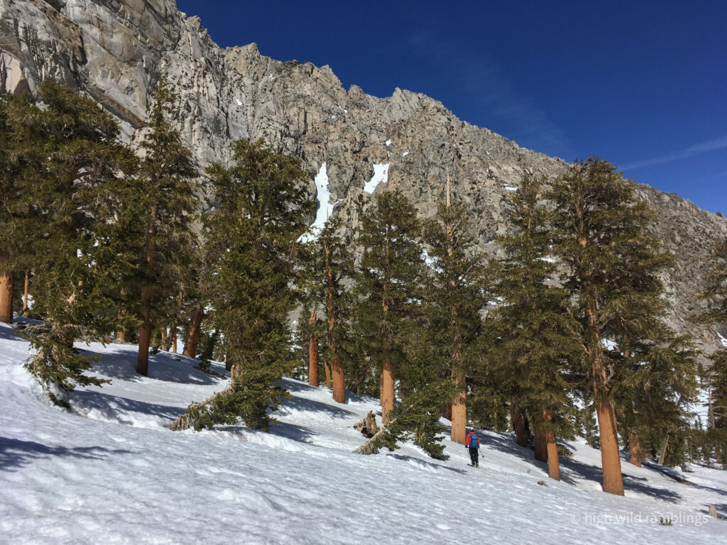 High Wild Ramblings