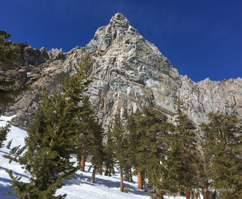 High Wild Ramblings