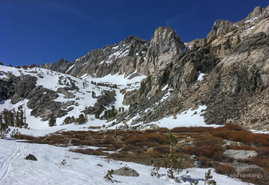 High Wild Ramblings