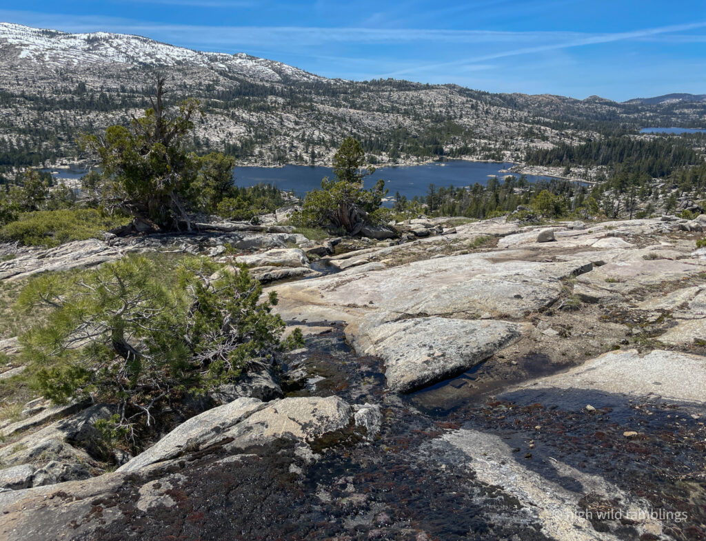 High Wild Ramblings