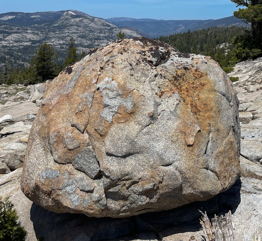 High Wild Ramblings