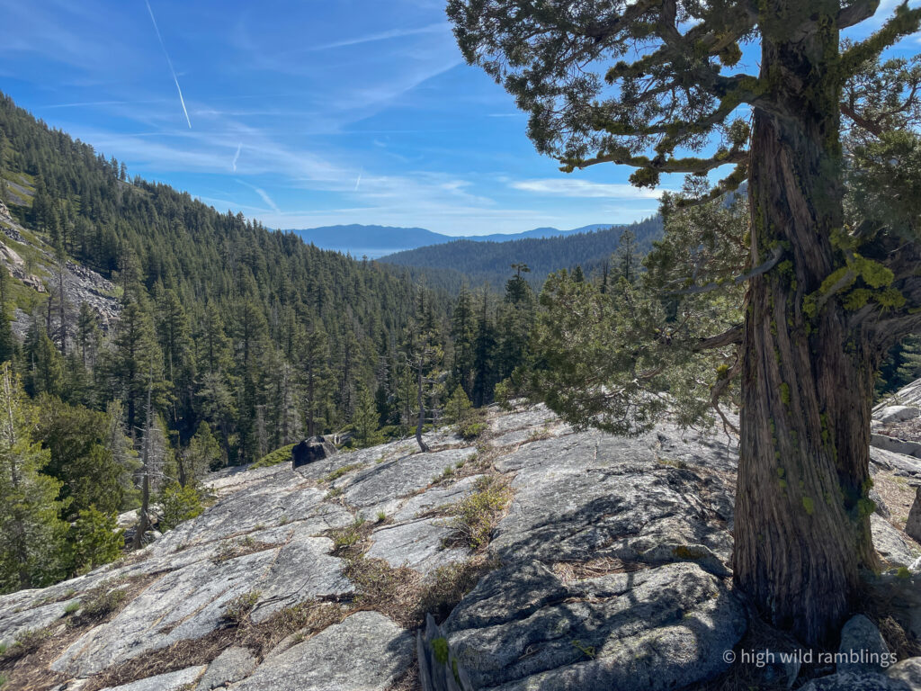 High Wild Ramblings