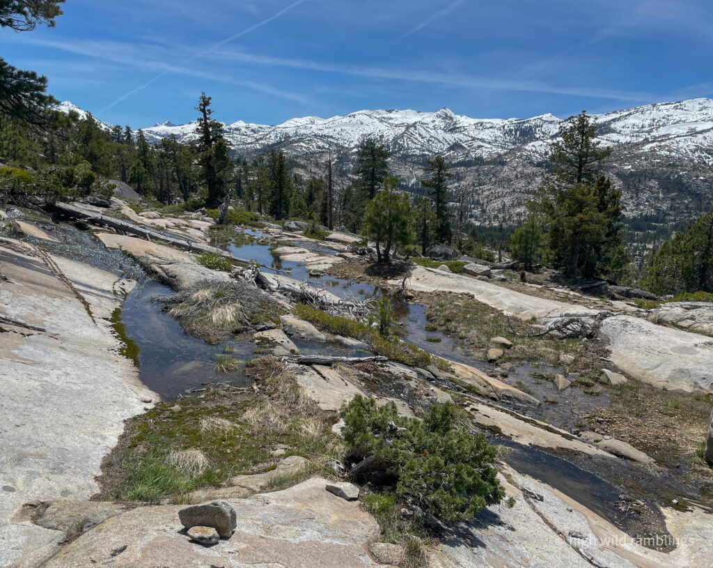 High Wild Ramblings