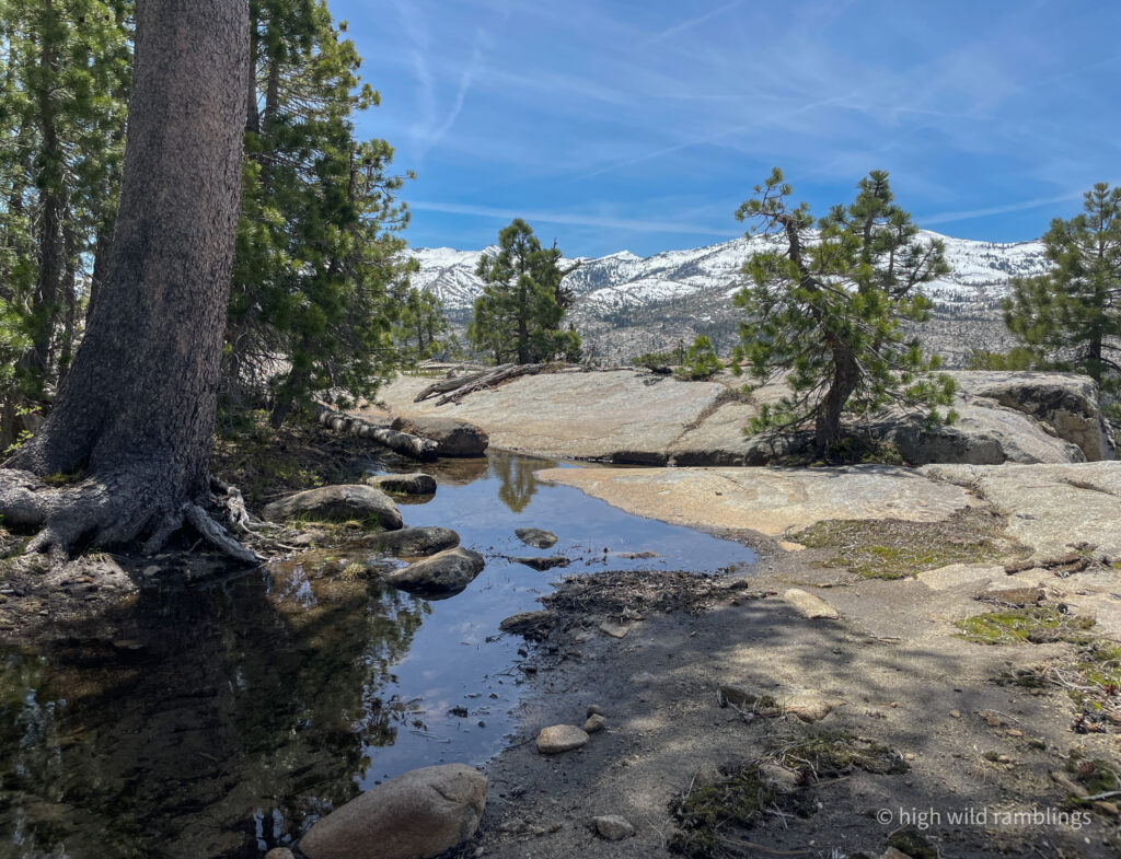 High Wild Ramblings