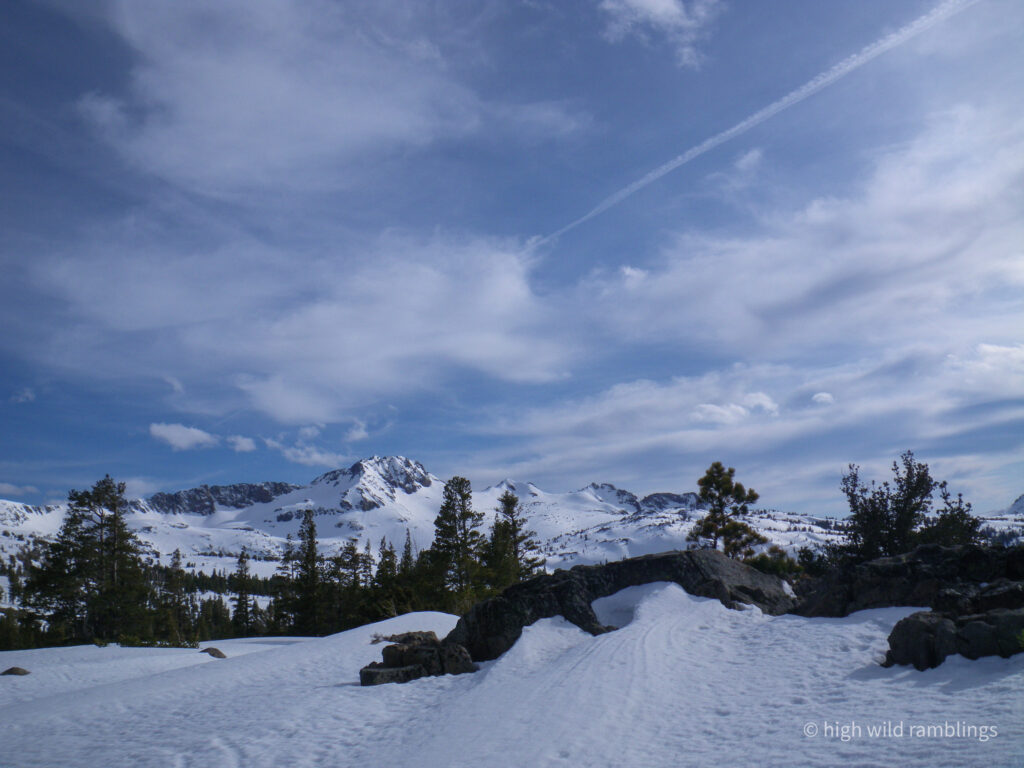 High Wild Ramblings