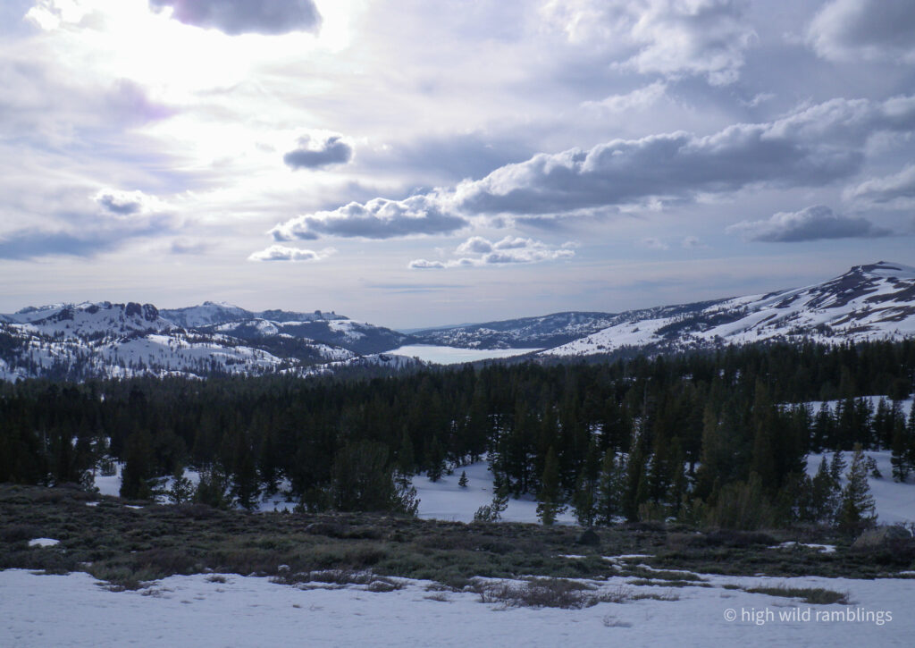 High Wild Ramblings