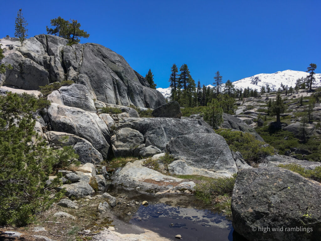 High Wild Ramblings