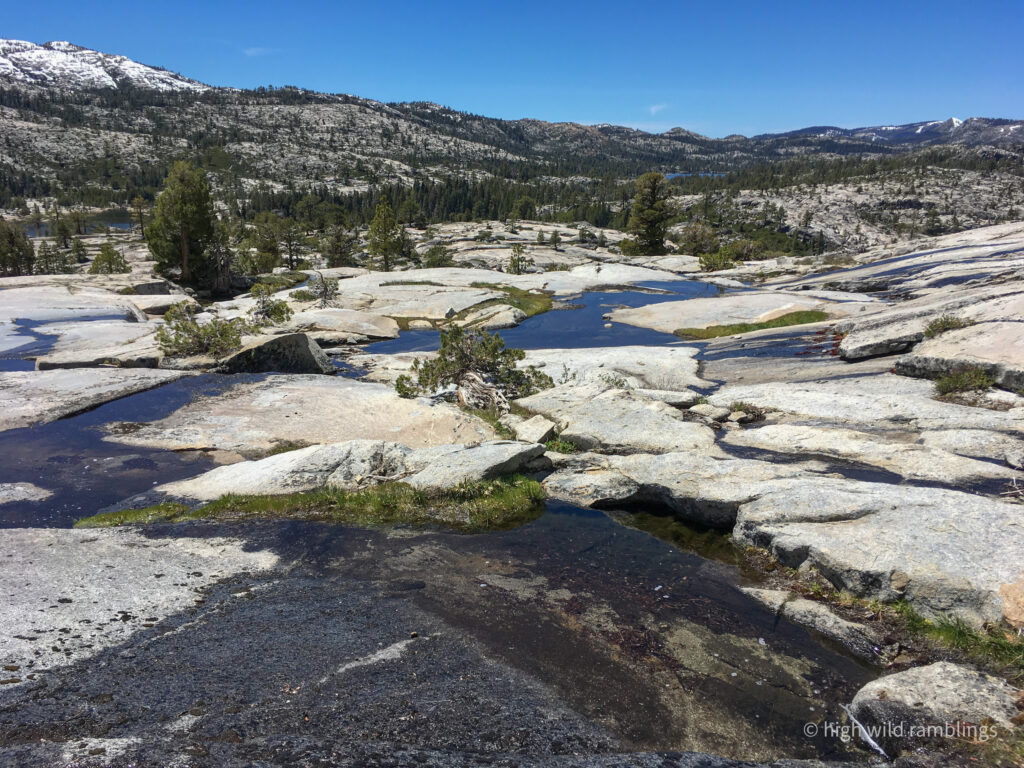 High Wild Ramblings