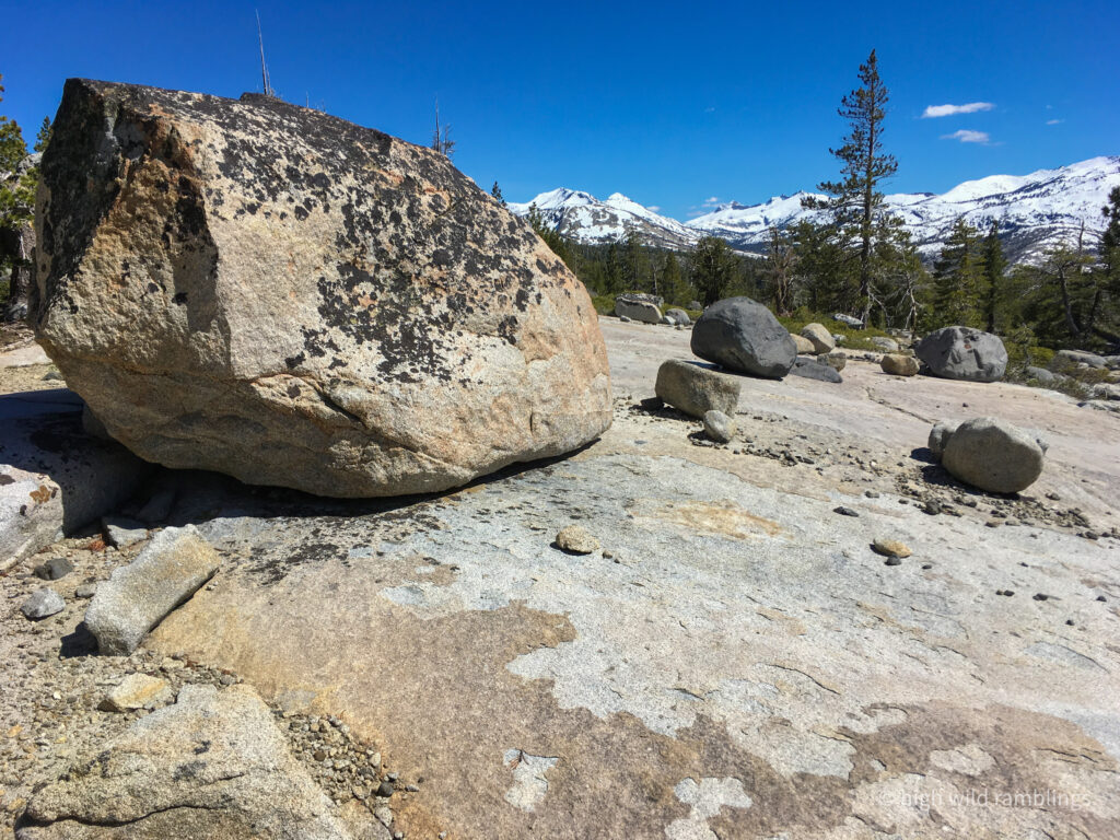 High Wild Ramblings